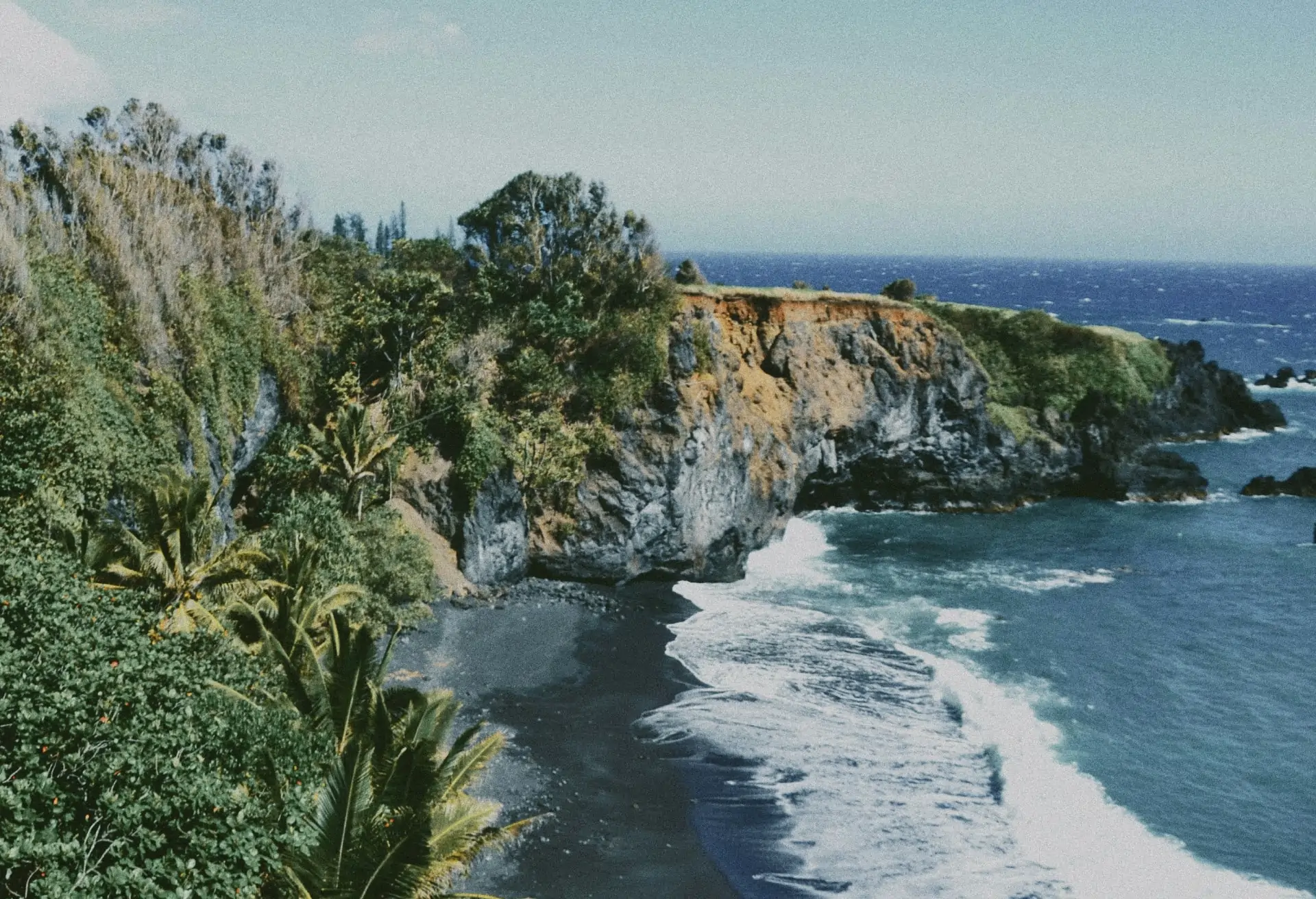 A view of costal cliffs with plenty of trees and plants overlooking a blue sea.