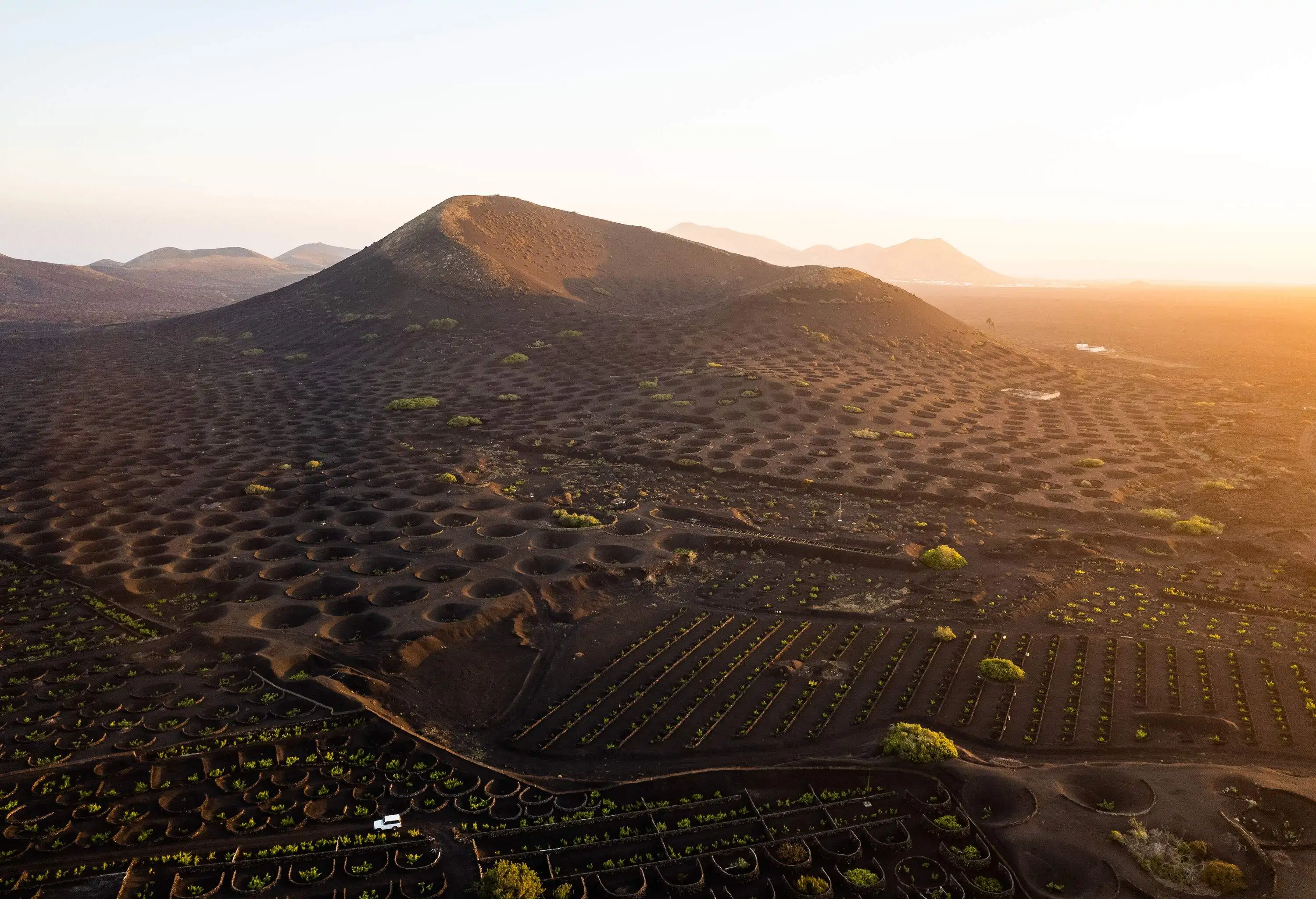 Aerial view of a traditional volcanic vineyard with holes and stone walls, each holding a single vine.