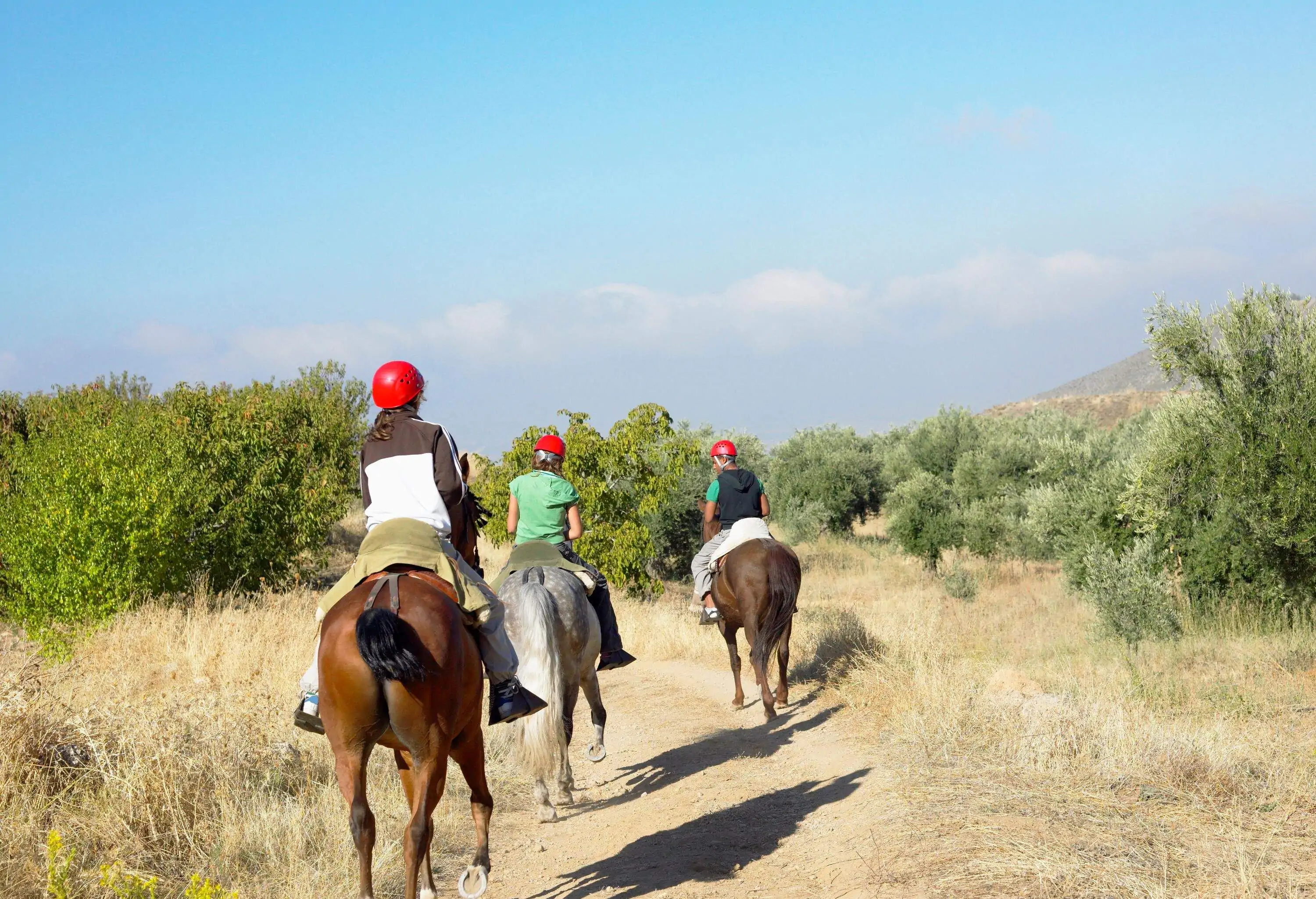 Three people in red helmets horseback riding on a grassy trail.