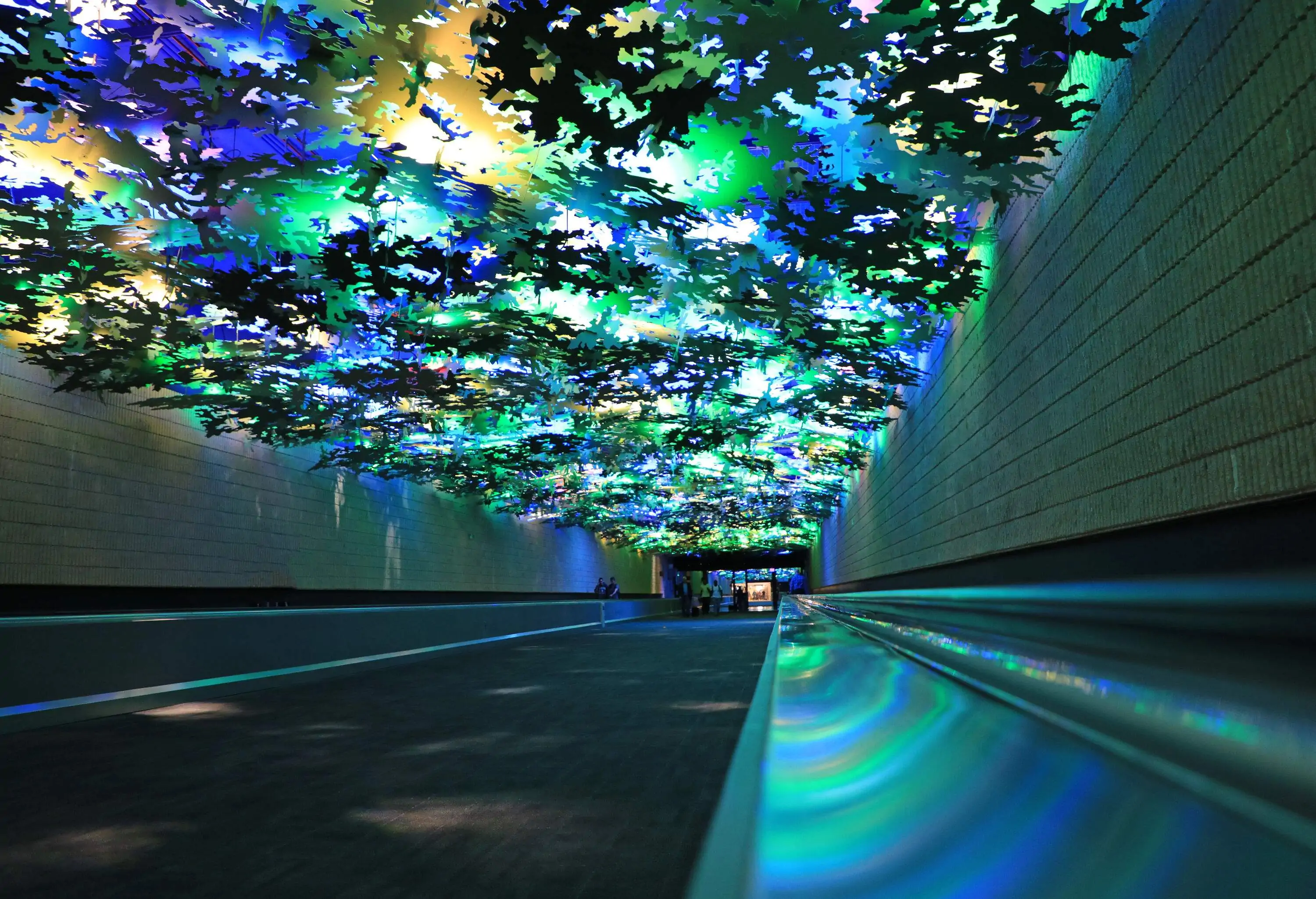 An airport footpath features a brightly lit ceiling, creating a captivating illusion of walking through a native forest.